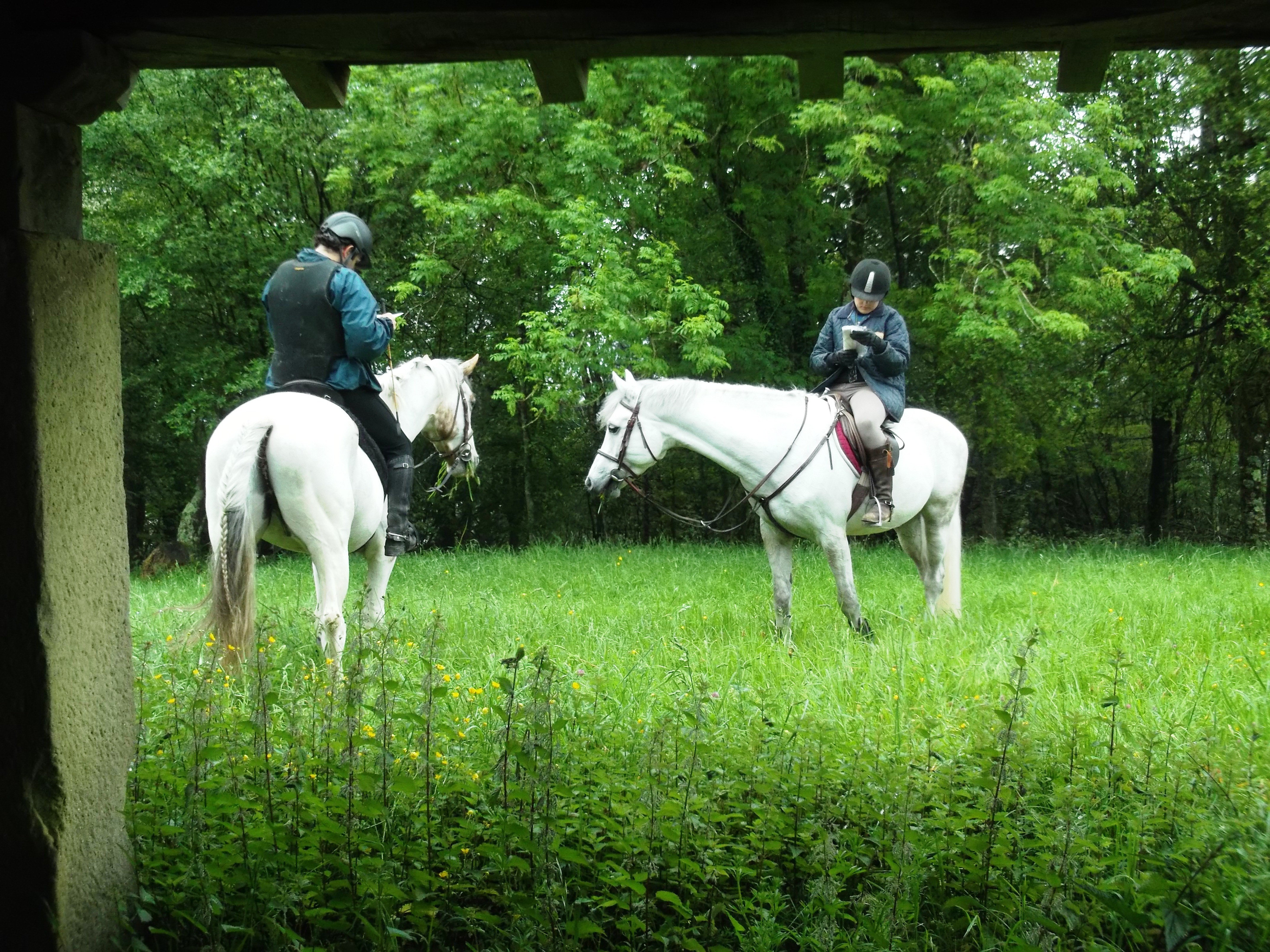 Éxito navarro en la primera fase de la liga Vasco- Navarra de TREC
